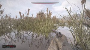 Болото. Схрон Барыги STALKER 2