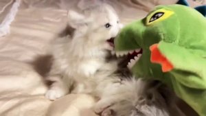 Новая часть «Годзиллы» выглядит впечатляюще