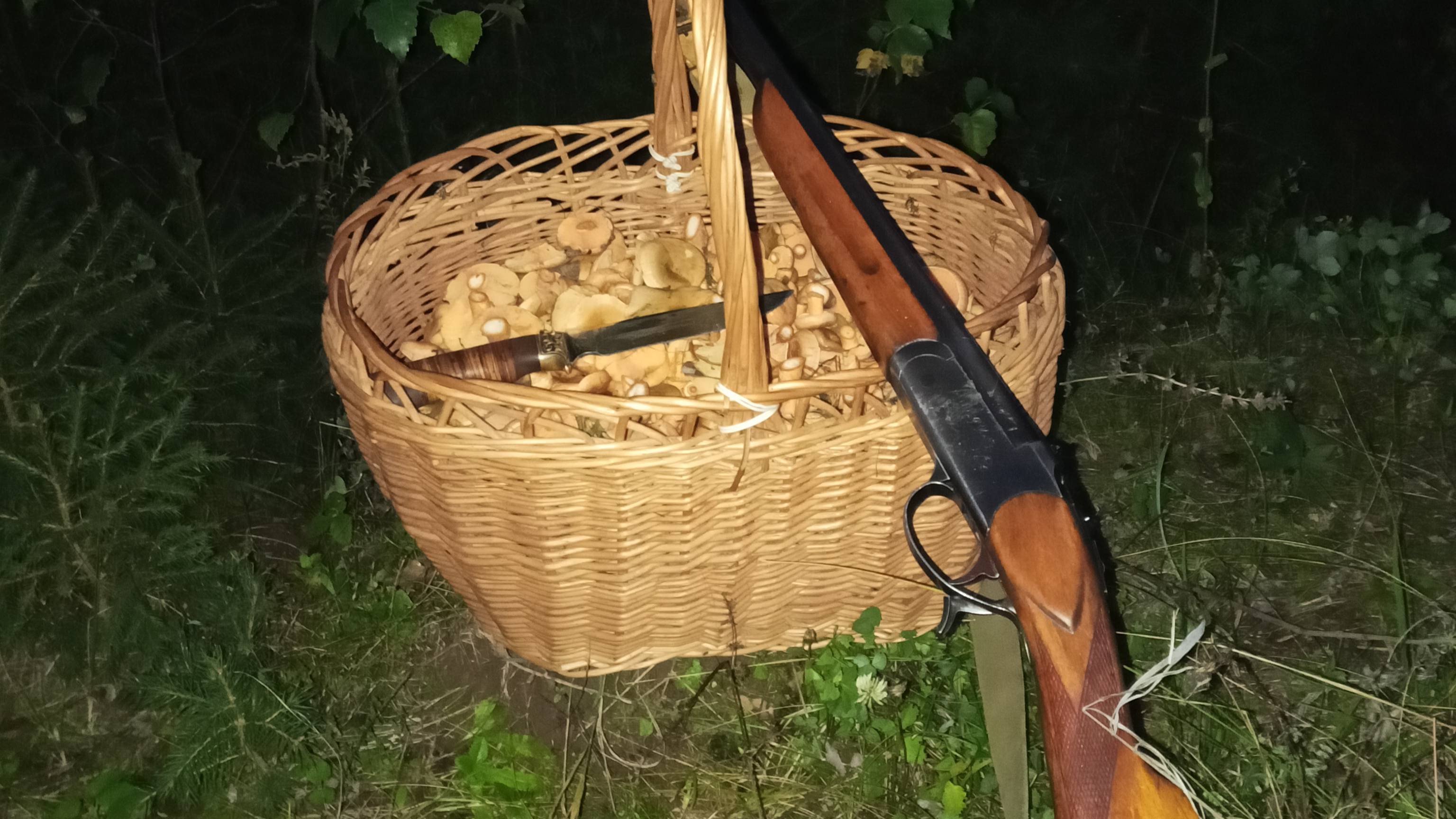 Корзина мелких рыжиков за два часа, сезон 2025г. смотреть онлайн