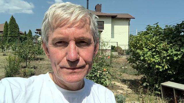 383 Миндальный орех на Кубани