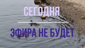 30.08.2025 эфира не будет