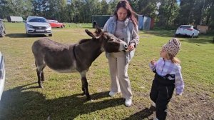 Ослик . Озеро "Банное "