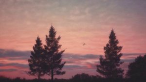 В круговороте дня и ночи.