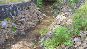 На Роднике 🏞️