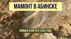 Мамонт в Абинске, найден в августе 2025 года