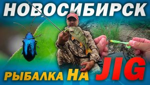 Выезд за КРУПНОЙ ЩУКОЙ / Рыбалка на ДЖИГ в НОВОСИБИРСКЕ.