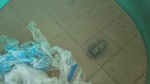 2 серия с Евой