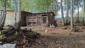 Для хорошего настроения