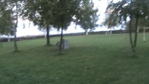 vatravel.ru Немецкое военное кладбище в д. Коростынь (Новгородская область)