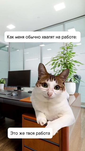 Как меня обычно хвалят на работе