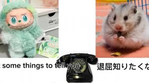 лабубу звонит хомяку