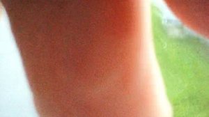 ЛЕТНИЙ ИЮЛЬСКИЙ ПАРКОВЫЙ МИНИ-БЛОГ №1468 СПЕТЬ И СПЛЯСАТЬ ПРОСИМ...