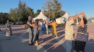 Белые берёзы... 29.08.25...