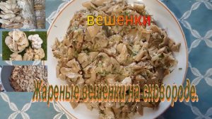 Жареные грибы ВЕШЕНКИ на сковороде с луком , укропом и сметаной .#грибы #вешенки #готовим_дома