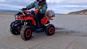 Детский квадроцикл Motoland Scorpion 50e ATV (Мотоленд скорпион 50е) в магазине МОТАК