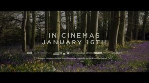 ТОП-10 ЛУЧШИХ ДРАМ (2014)