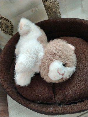 прогулка☺️