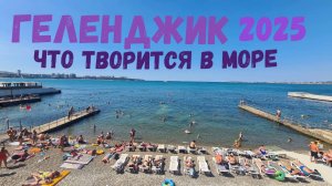Геленджик 2025 - лучший курорт Краснодарского края. Канатная дорога с видом на город.