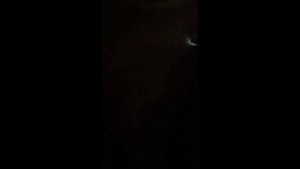 ПАРОНОРМАЛЬЩИНА