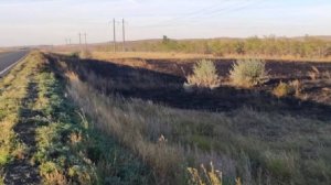 В Оренбургской области ликвидирован ландшафтный пожар площадью 600 га