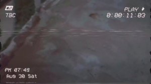 Последняя запись одного из сотрудников МЧС (Зефировская область)