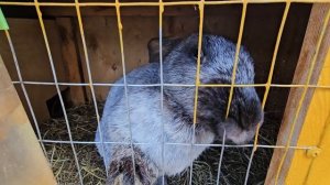 контактная ферма . озеро "Банное"