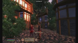 Oblivion - Город эльфов в провинции Вайлендвуд