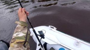 Ловим щуку в траве 14.08.2025