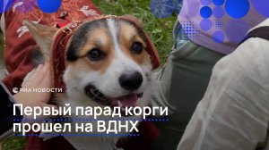Первый парад корги прошел на ВДНХ