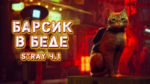 С Барсиком беда. Часть 1.