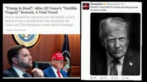 ‼️🇺🇸🏴☠По США расходятся слухи, что Дональд Трамп умер. 

▪️Они основаны на словах вице-президент