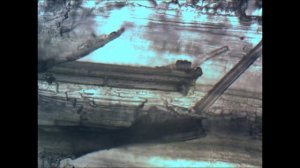 Путешествие в удивительный Мир живой природы 3-1 - Движение жидкости по трубчатым спиралям.