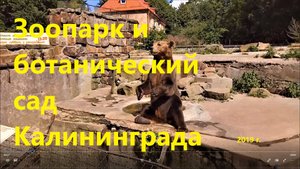В зоопарке и ботаническом саду Калининграда, 2019 г.