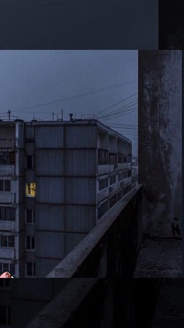 Рил смотреть онлайн