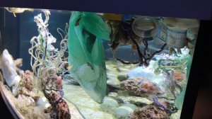 Очередная часть моего дня рождения 😄, вязание для начинающих, природа, отдых, вязание крючком