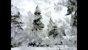 Шуточная. Стихи бывают для ума, для настроенья без ума. Зи-ма-а-а!