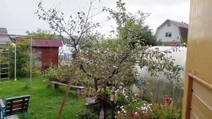 Ливни и усиление ветра от фронтального облака ХФО и внутримассовых облаков