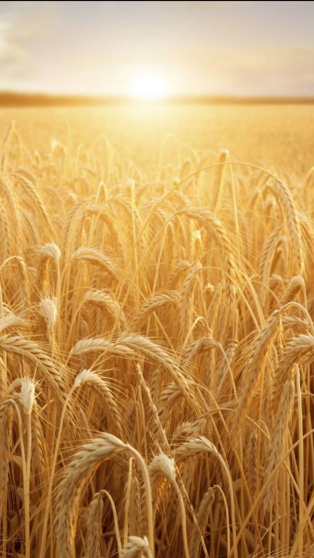 Христианский песенный альбом Григория и Марианы Михенько смотреть онлайн