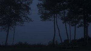 Звук сверчков ночью, сопровождаемый шумом волн