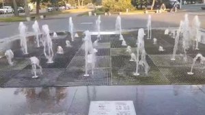 Музыкальные фонтаны в Сестрорецке