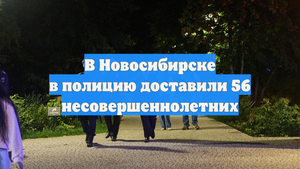 В Новосибирске в полицию доставили 56 несовершеннолетних