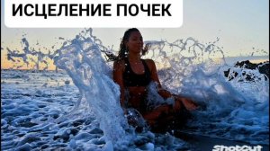 ИСЦЕЛЕНИЕ ПОЧЕК*МОЩНЫЙ САБЛИМИНАЛ*БИНАУРАЛЬНЫЕ РИТМЫ (285 Гц., 528 Гц., 432 Гц.)+АФФИРМАЦИИ