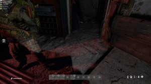 DayZ 2025.08.29 - 23.36.58.02.DVR