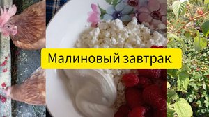 Малиновый завтрак.