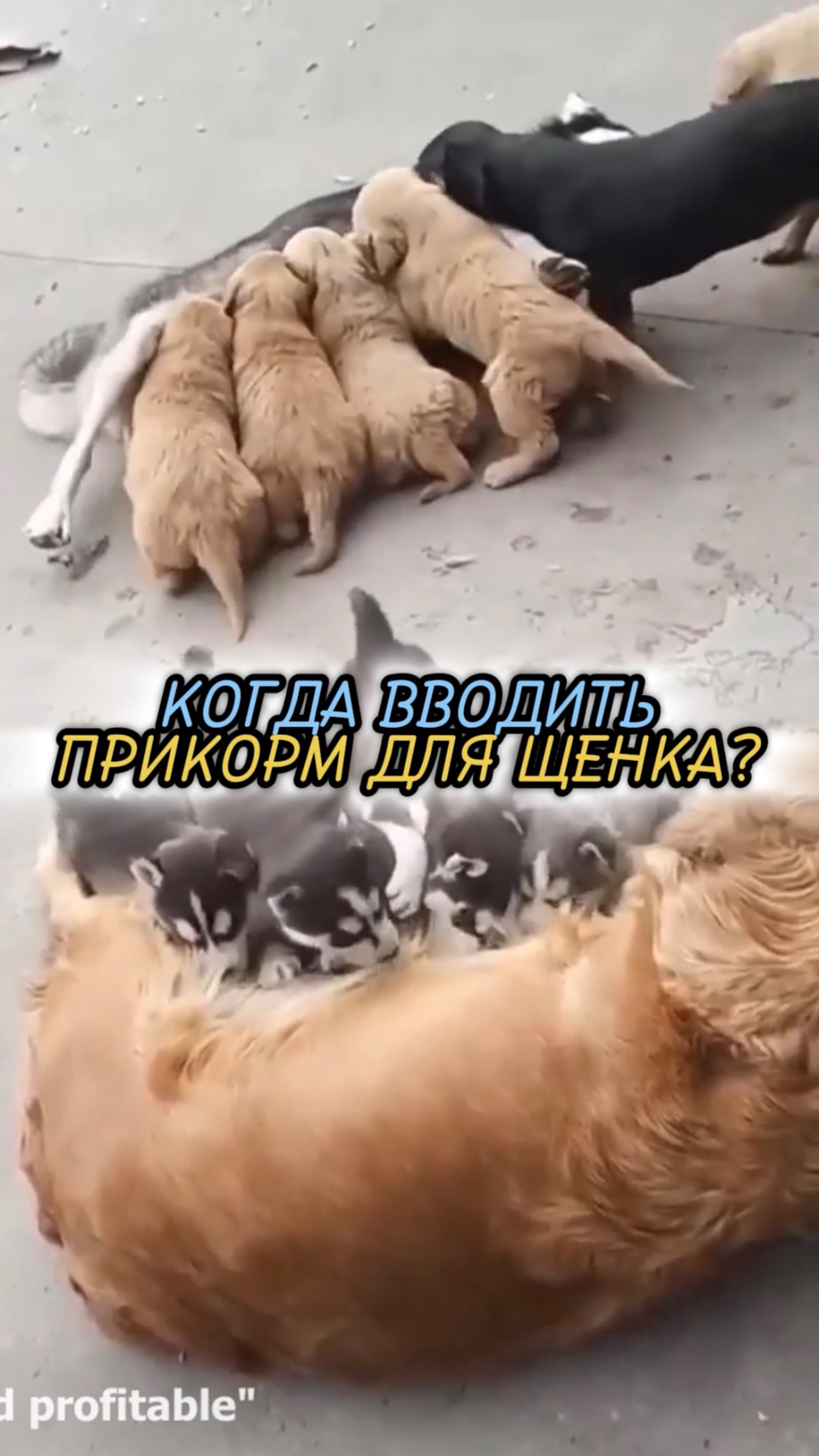 🎁Бесплатные уроки. Жми сюда! смотреть онлайн