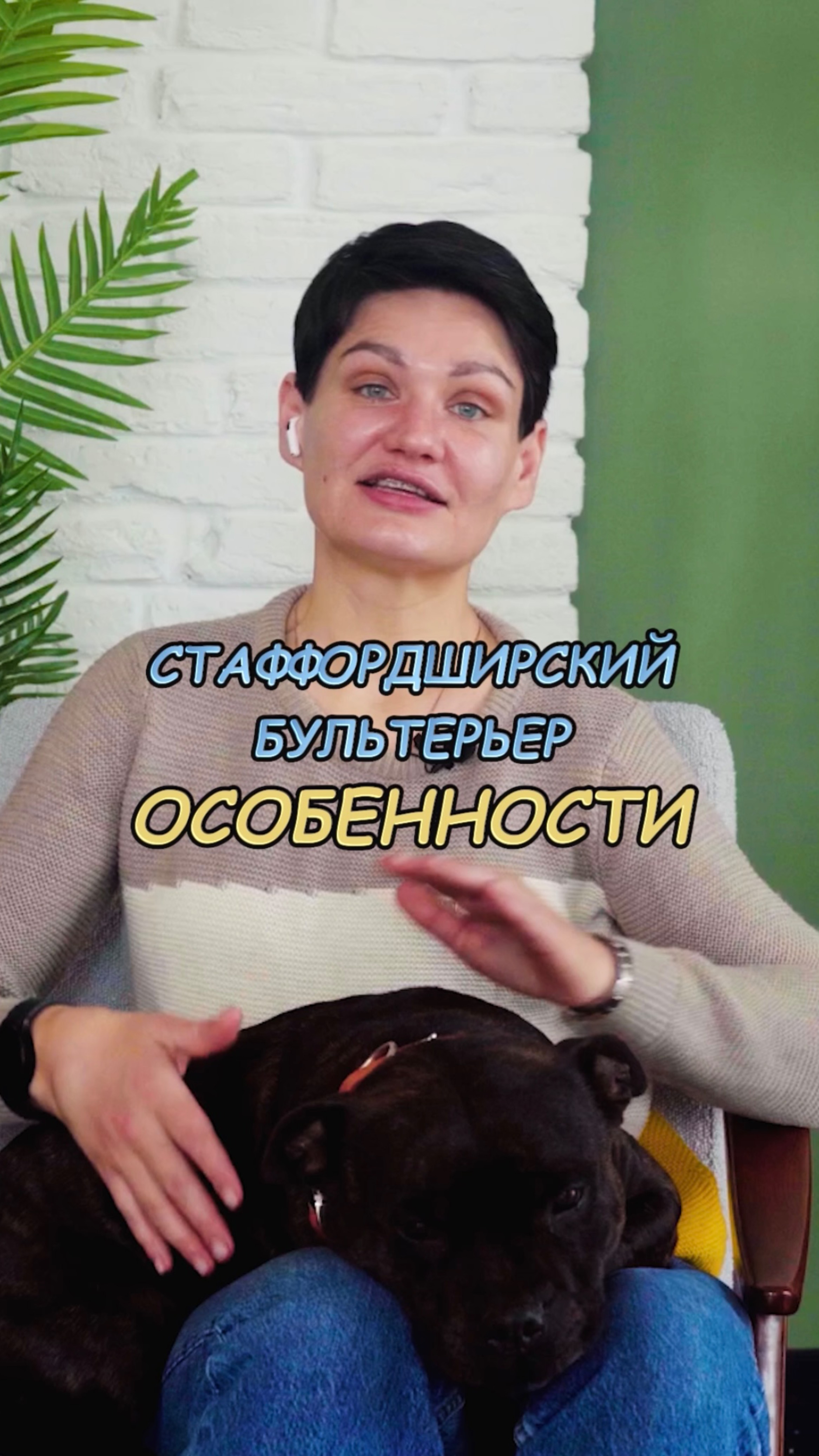 🎁Бесплатные уроки. Жми сюда! смотреть онлайн