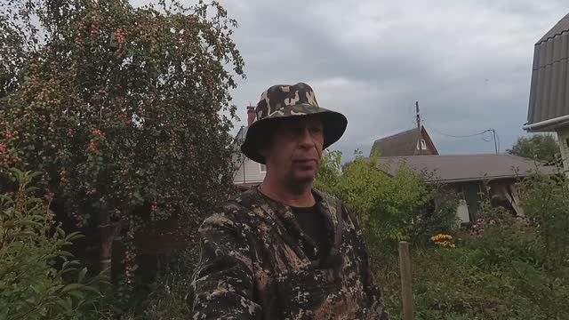 Как избавиться от яблоневого долгоносика. Испытываю новый метод.