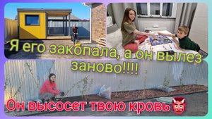 Из Германии в Россию/Наши будни/ Работа на участке/ Садовый центр/ Тюмень/ Наша Жизнь в России/ Влог