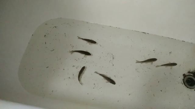 1000007819.mp4 смотреть онлайн