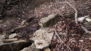 Родник Алмуча